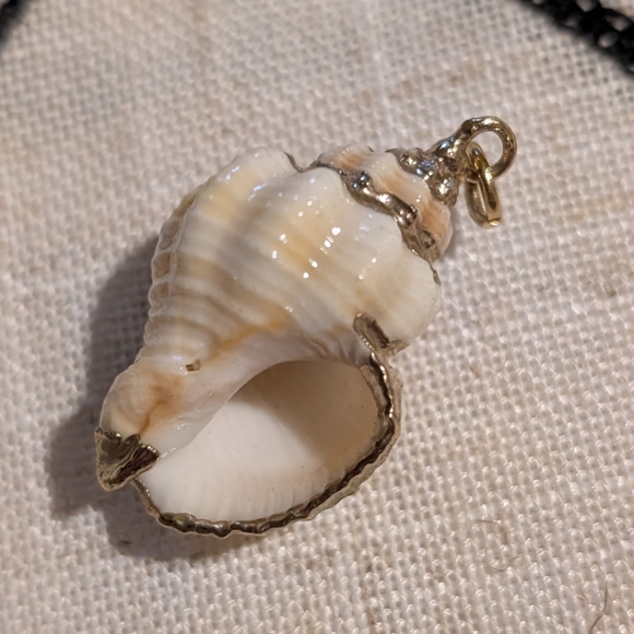 Small conch shell pendant - Picture 2 of 4